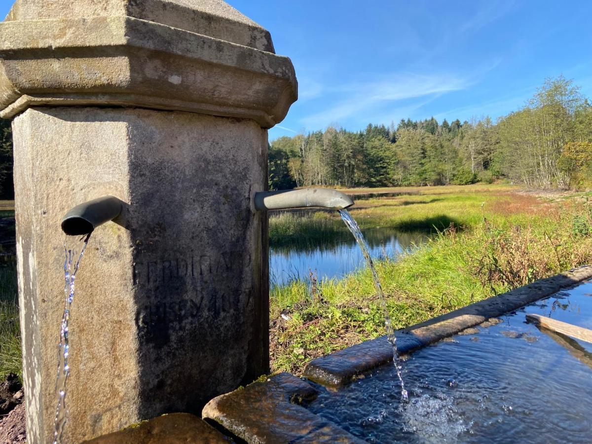 Gite Des Prary Des Mille Etangs Ternuay-Melay-et-Saint-Hilaire Exterior foto